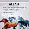 777userrrrrrrr._