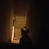 salt_m0