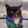 gattoverhaul