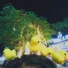 tieucutelmao