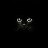 kevin_jr.m