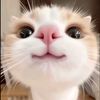 _anjaniiiiiiiii