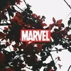 _.marvel_page._