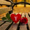 yasmen0smsm