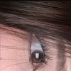 arlet_610