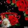 user414389875