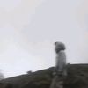 dmsadp