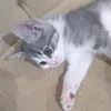 lucianapossamai0