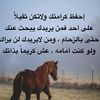 user5968691470908