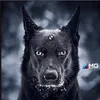 dorel.12
