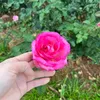 nhibi94