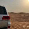 mohammedalhasnawi423
