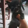 fabricioguantay
