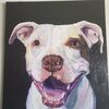 danimalisticpaintings