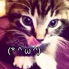maiscfff