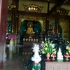 hanhngoxuan2