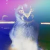 zele_boba2288