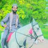 ranaaqib206