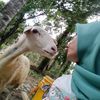 adaadaaja0405