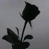 linh_khanh924