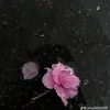 callmebedau6