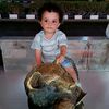 mahmoudmohamed250698