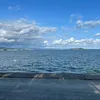 tnvippro0
