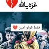 habibarfaoui027