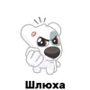 _amg_elderfozu