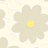 no_name12345578