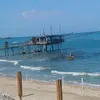 soleemare25