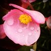 goaway_2022