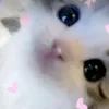 nana__20__