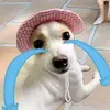 _cuteh0ngchoisike_