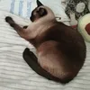 lakamka_66600