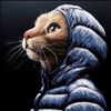 byr_n