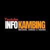 infokambing