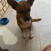 simoniisilva7700