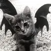 imbatman_iliveforgotham