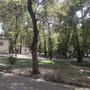 atasalih1
