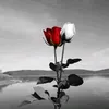 ahmd_kmal3