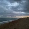 fleucitu