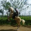 juancr859