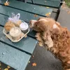 _vlogsbyheidii
