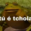christusestunicusservato