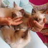 oumniya.salma
