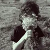 ci_.m