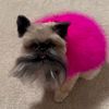 trudy_griff