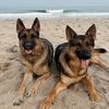 vienna.lani.gsd