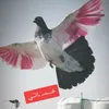z_e_oos